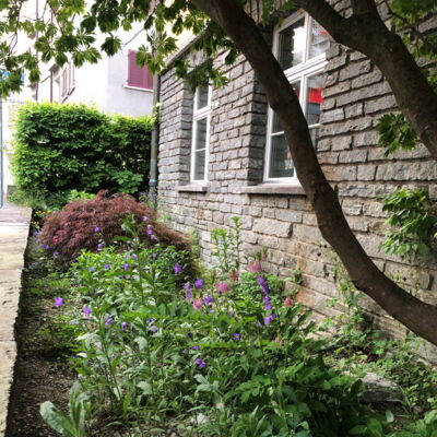 Baumackerschule Schulgarten